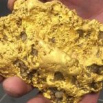 main-qimg-a1a14bd87cea12d30c1fda1e2de73b92-pjlq